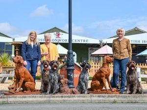 Supporting image for story: Dog show to set tails wagging at Ironworks