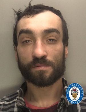 Marian Plesca has been jailed