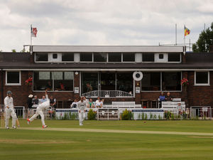 Supporting image for story: Birmingham League heading for vote on radical ECB restructure