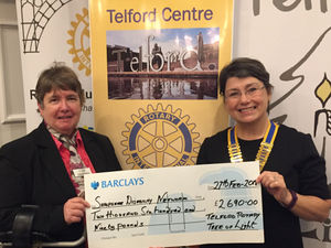 Supporting image for story: Bumper cash crop from Tree of Light 