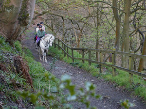 Supporting image for story: Proposal for a Shropshire village bridleway to be decided on by Staffordshire planners