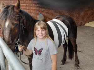 Supporting image for story: Dog attack on horse in Sandwell leaves girl 'traumatised' and family with £1,000+ vet bill