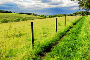 Supporting image for story: Countryside? May as well try and enjoy it while it lasts