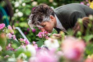 TV presenter George Lamb gets up close to the David Austin roses