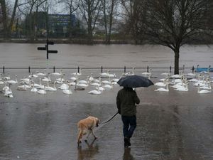 Supporting image for story: Weather warnings issued across all four nations amid heavy rain and strong winds
