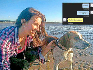 Supporting image for story: 'Too late Charlie's dead' - chilling message sent by sick blackmailer to Tipton family 'held to ransom' over their pet dog