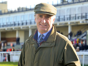 Supporting image for story: Ludlow agree with decision to shut doors