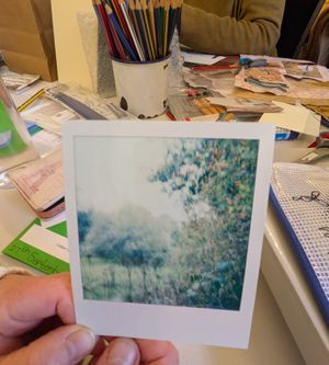 Taking photos of Doctor's Field for an art workshop