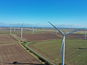 Supporting image for story: Build green economy to wean UK off Russian energy, Trade Secretary says