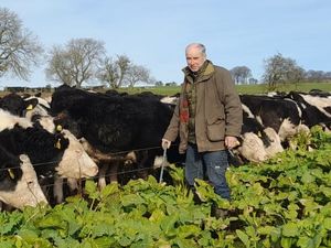 Supporting image for story: New Shropshire NFU chairman ready to champion farming in region 