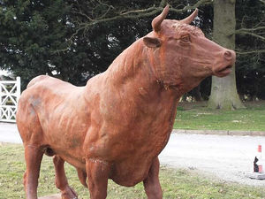 Supporting image for story: Meet the cast iron bull which could be heading to Whitchurch