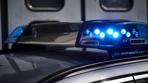 Supporting image for story