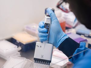 Supporting image for story: Smaller initial dose could ‘prime’ the immune response – scientists