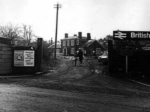 Supporting image for story: Pictures from the past - February 19