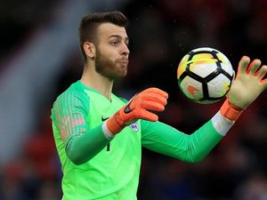 Supporting image for story