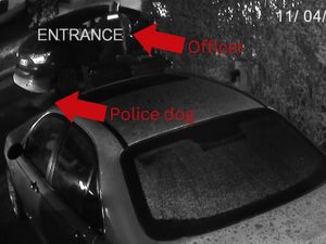 Supporting image for story: Police officer seriously injured after being mauled by force dog in chase for suspected car thief 
