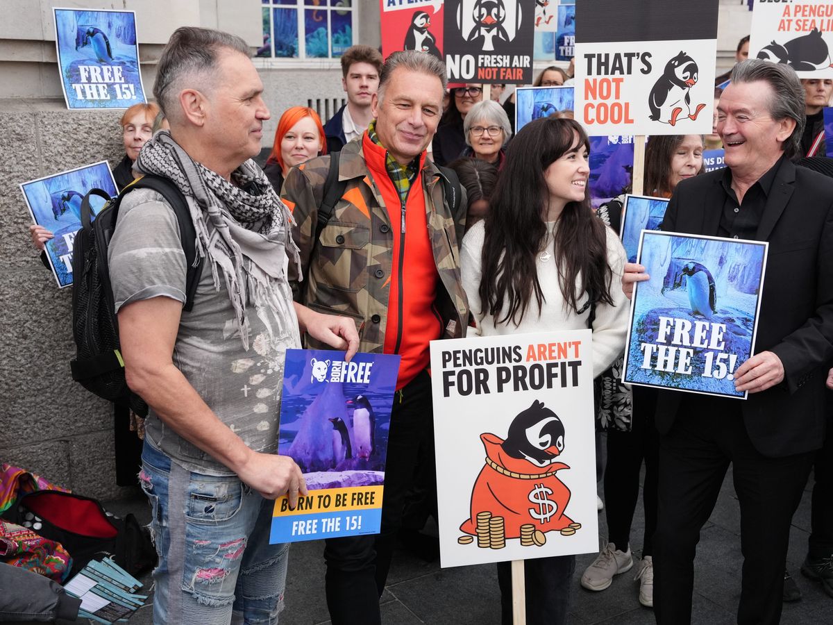 Protesters call for release of penguins &lsquo;trapped in basement&rsquo; of London aquarium