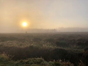 Denise Taylor's photograph 