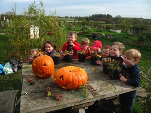 Supporting image for story: Halloween fun at Market Drayton farm