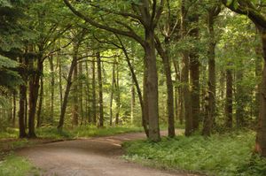 A naked walk is set to go-ahead in Birmingham this weekend after police said officers had no power to stop it