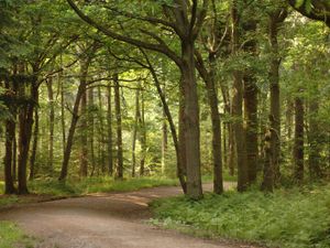 Supporting image for story: Naked walk in Birmingham set to take place this weekend after police said officers 'had no power to stop it'