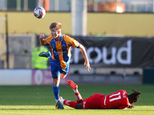 Supporting image for story: Luke Powell analysis: Shrewsbury upstaged as they fail to capture Meadow magic