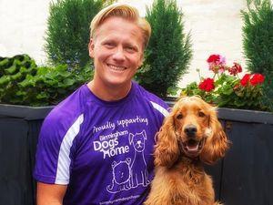 Supporting image for story: Birmingham Dogs Home announces Dr Scott Miller as new ambassador