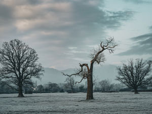 Supporting image for story: Newport photographers show creative side in competition