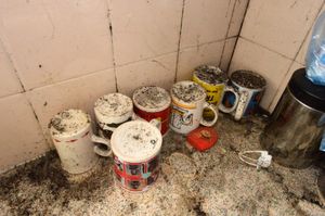 The damp has caused mould issues for John Fones