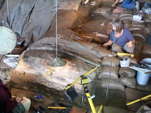 Supporting image for story: Stone Age humans ‘used grass and ash to make pest-free bedding’