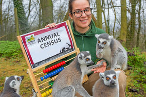 Supporting image for story: Everyone counts! Dudley Zoo in annual animal census