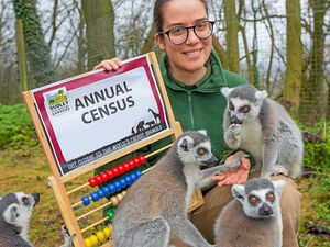 Supporting image for story: Everyone counts! Dudley Zoo in annual animal census