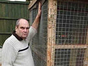 Supporting image for story: Birds stolen from garden