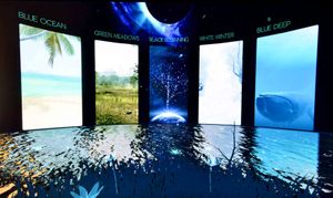 A still from Nature Treks VR