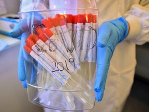 Supporting image for story: Coronavirus testing for pupils and teachers under surveillance plan