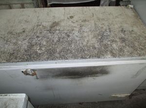 Inside the shed where food was found by inspectors