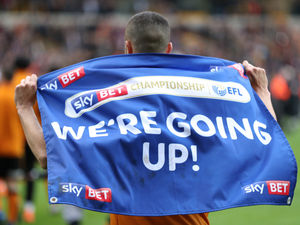Supporting image for story: GALLERY: Wolves players celebrate promotion following derby day win