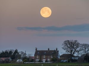Supporting image for story: Wolf supermoon appears in clear UK skies