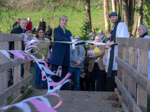 Supporting image for story: New Bridge Over River Stour Blessed In Village Ceremony