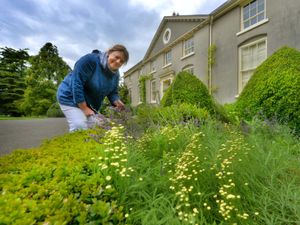 Supporting image for story: Spectacular historic kitchen garden opening to the public