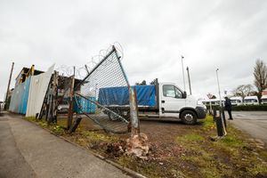 The owner said he had arrived the next morning to a scene of carnage