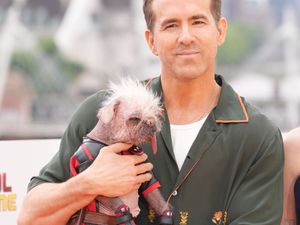 Supporting image for story: Ryan Reynolds promises to ‘get down in the mud’ in new nature documentary