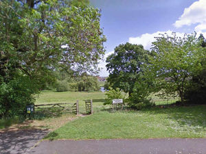 Supporting image for story: Over £1,000 worth of fish die as hot weather hits oxygen levels at Whitchurch pool