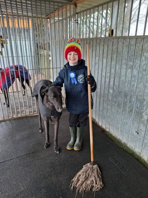 Always smiling when he's around the greyhounds, even whilst doing the chores!