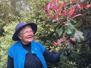 Supporting image for story