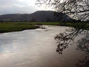 Supporting image for story: Farmland flooded as River Severn levels rise
