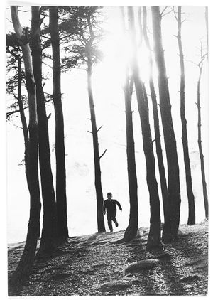 Boy running through trees in the Clent Hills