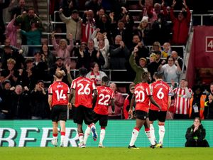 Supporting image for story: Stoke cheesed off after James Bree nets late winner for Southampton