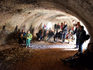 Supporting image for story: Tour limeworks and see demos