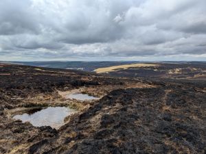 The effects of a huge wildfire on Abergwesyn Common in Wales